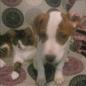 Meet your Posher, Brenda