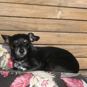 Meet your Posher, Kathy