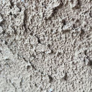 Meet your Posher, Eva