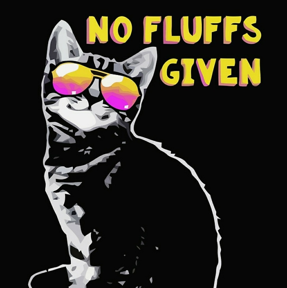 Meet your Posher, Aleta