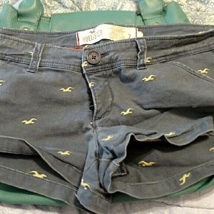 Hollister Shortie