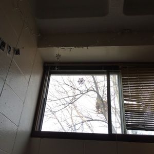 Meet your Posher, Hisila