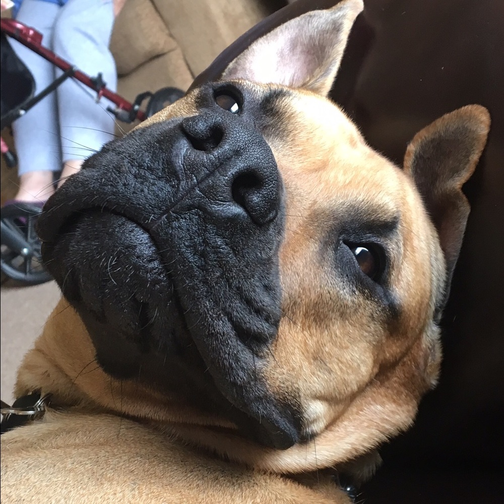 Meet your Posher, Kelly