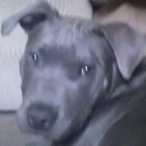 Meet your Posher, Elvia