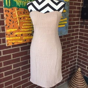 Forever21 Adorable Tube Dress