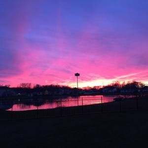 Meet your Posher, Janene