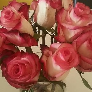 Meet your Posher, Hailey