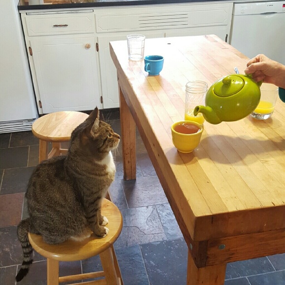 Meet your Posher, Caresse - Picture 3 of 3