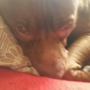 Meet your Posher, Cathy