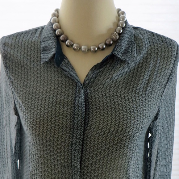 Long sheer  blouse with long sleeves