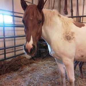 Meet your Posher, Lori