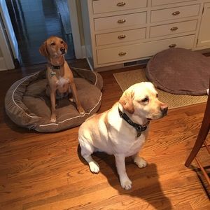 Meet your Posher, Hillary