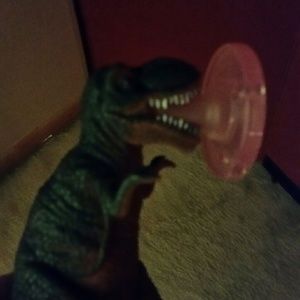 Meet your Posher, Carly