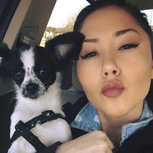 Meet your Posher, Dakota