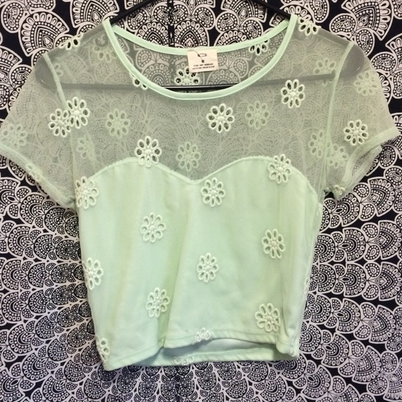 Sea-Foam Green, Sheer Crop Top