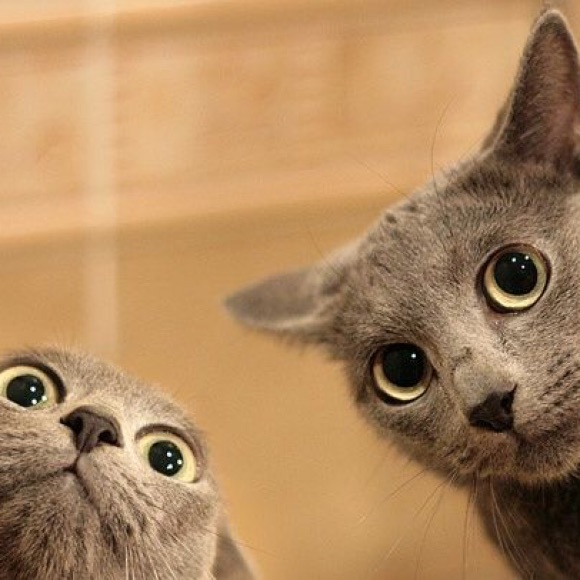 New items added! - Picture 2 of 4