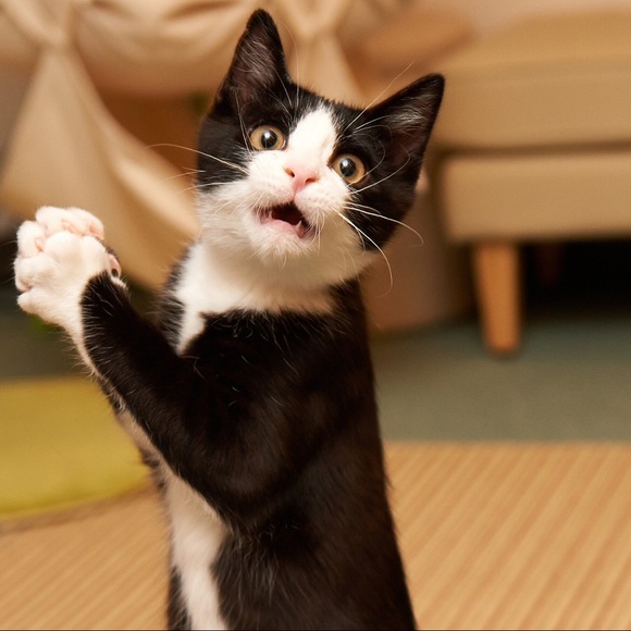 New items added! - Picture 3 of 4