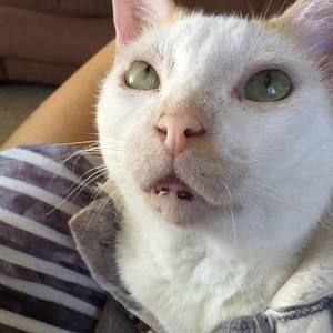 Meet your Posher, Ely