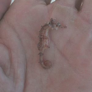 Meet your Posher, Glenn