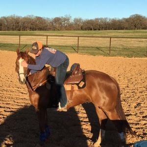 Meet your Posher, Andee