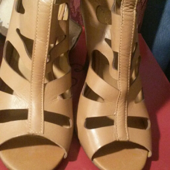 Report Signature Cut Out Wedges