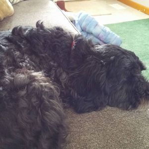 Meet your Posher, Lori