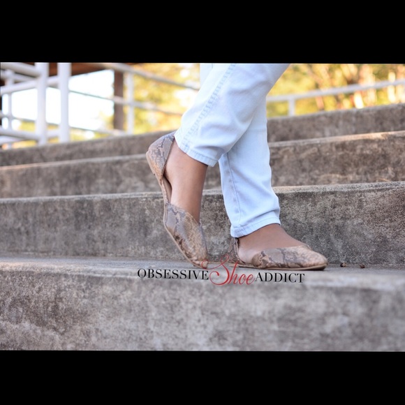 Natural Snake Flat - Picture 4 of 4