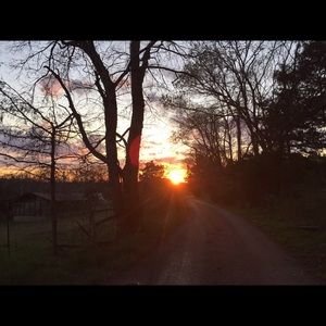 Meet your Posher, Rita