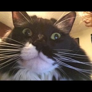 Meet your Posher, Kathy