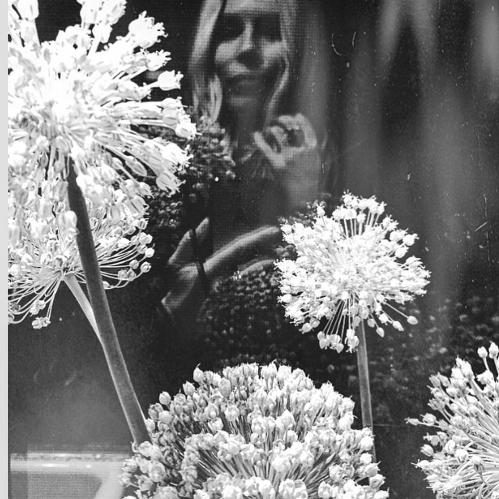 Hello there! Nice to meet ya. - Picture 4 of 5