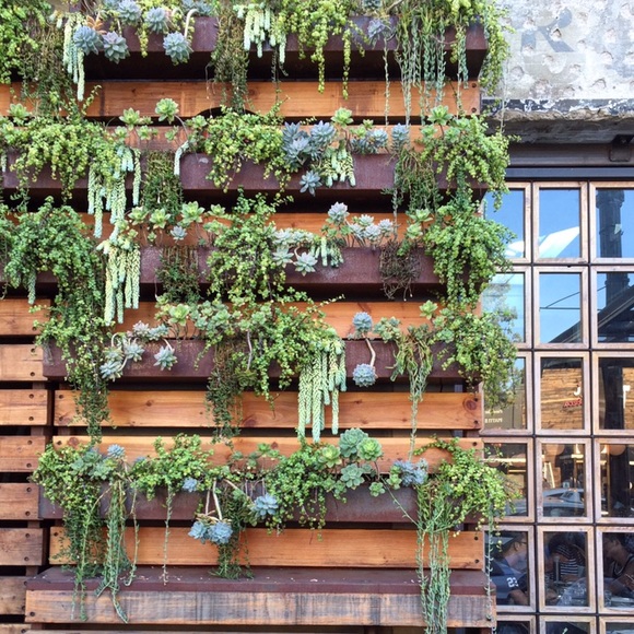 Hello there! Nice to meet ya. - Picture 5 of 5