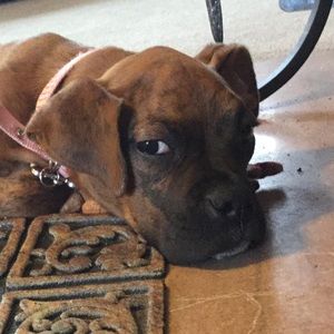 Meet your Posher, Emilee