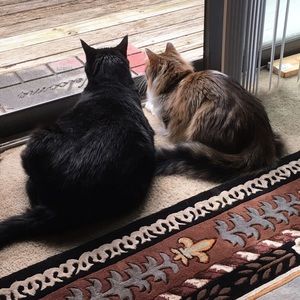 Meet your Posher, Jenni