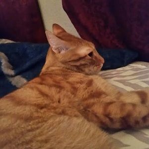 Meet your Posher, Liza