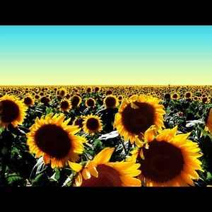 Meet your Posher, Nichole