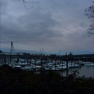 Meet your Posher, Macey