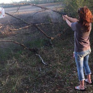 Meet your Posher, Wendy