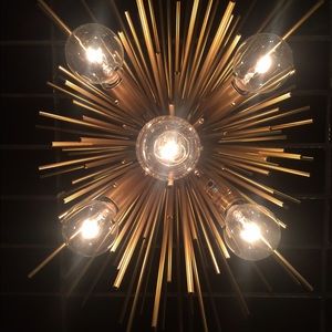 Meet your Posher, Rosie