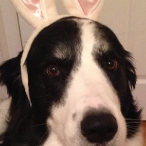 Meet your Posher, Cathy