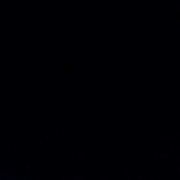 Meet your Posher, Sadie