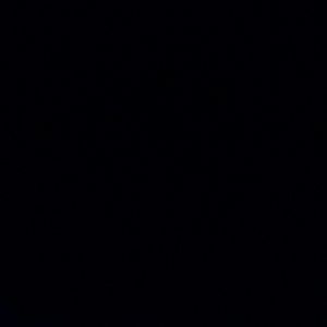 Meet your Posher, Sadie