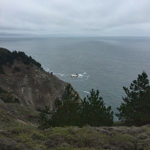 Meet your Posher, Lucy