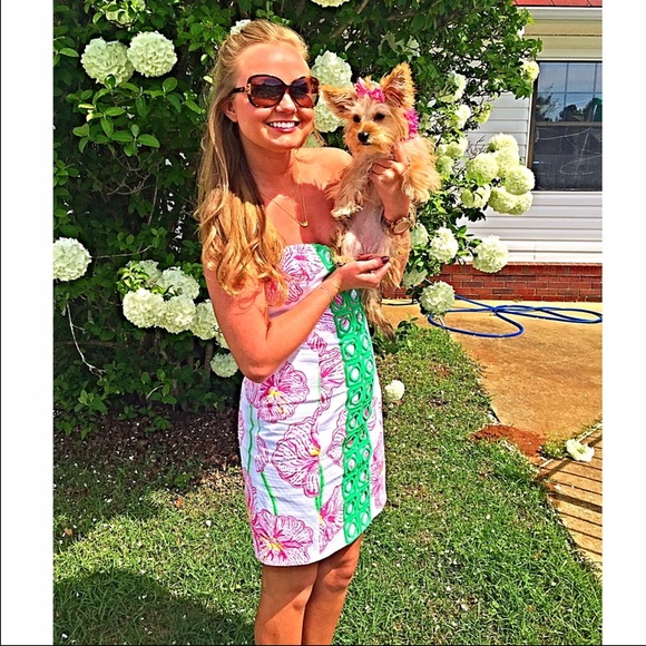 Angela Sweet Heart Lilly Pulitzer Dress! Like NEW! - Picture 4 of 4