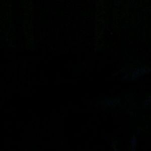 Meet your Posher, Tori