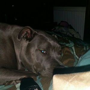 Meet your Posher, Kim