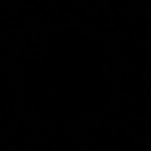 Meet your Posher, Nina