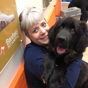 Meet your Posher, Doreen