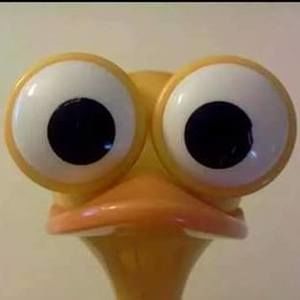 Meet your Posher, Janet