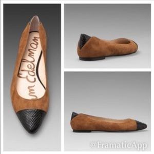 Sam Edelman Trent pointed toe flats