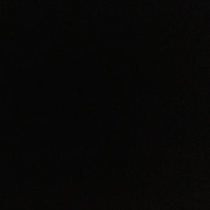 Meet your Posher, Daisy